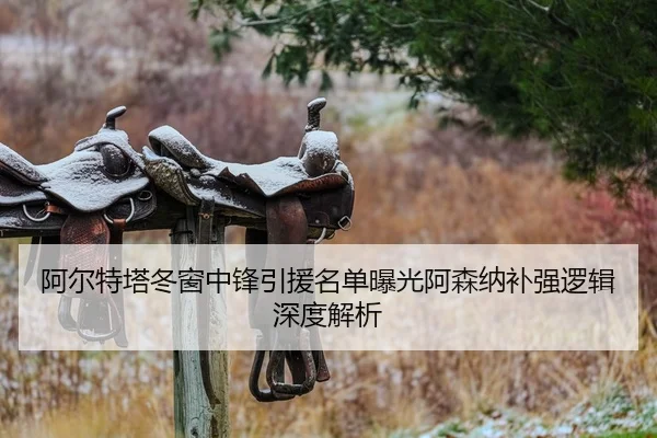 阿尔特塔冬窗中锋引援名单曝光阿森纳补强逻辑深度解析